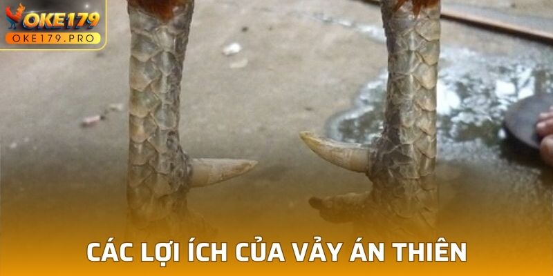 Các lợi ích của Vảy Án Thiên