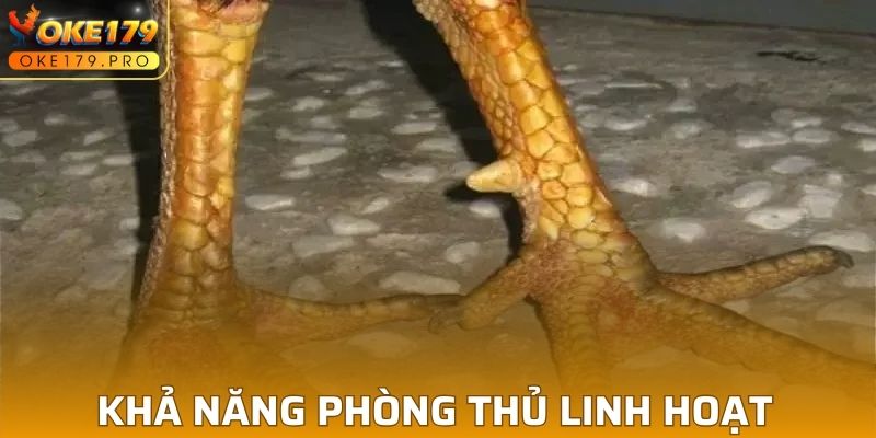 Khả năng phòng thủ linh hoạt