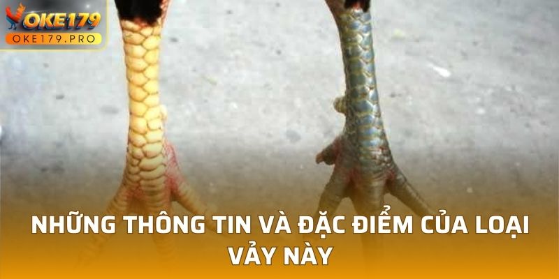 Những thông tin và đặc điểm của loại vảy này