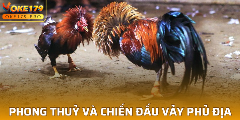 Ý nghĩa phong thủy và chiến đấu của vảy Phủ Địa