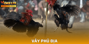 Vảy Phủ Địa