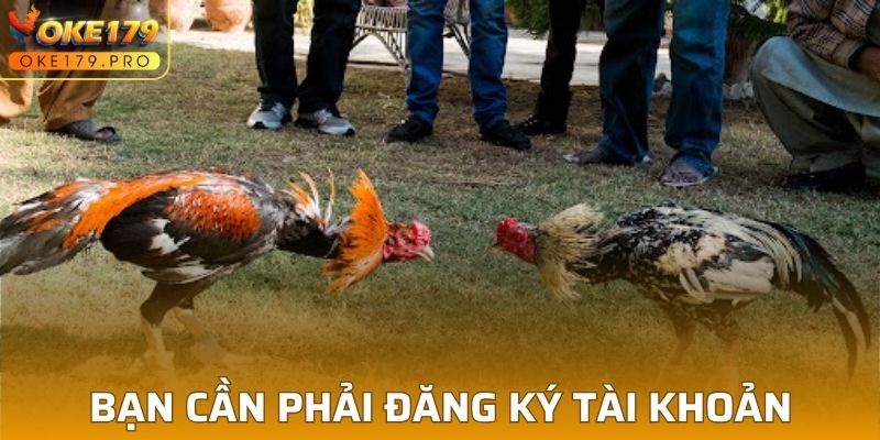 Bạn cần phải đăng ký tài khoản