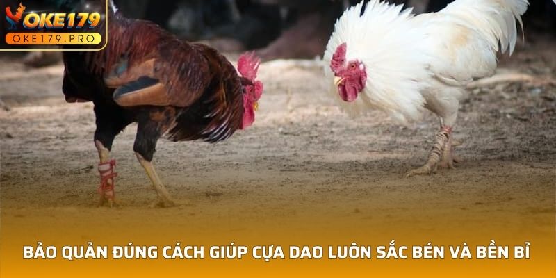 Bảo quản đúng cách giúp Cựa Dao luôn sắc bén và bền bỉ 