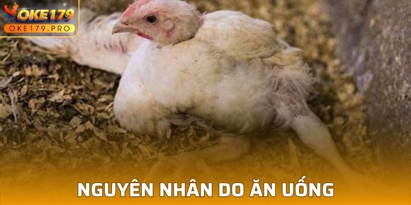 Bị bệnh do chính thức ăn và nước