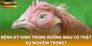 Bệnh Ký Sinh Trùng Đường Máu