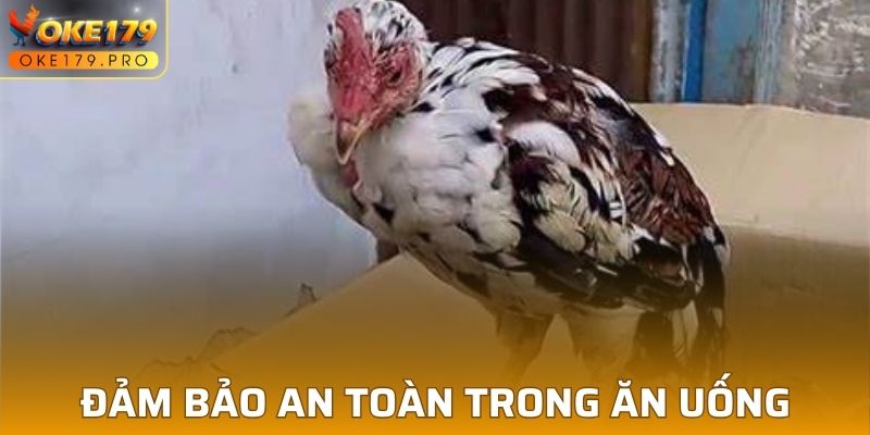 Biết cách kiểm soát trong ăn uống