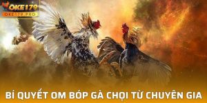 Bí Quyết Om Bóp Gà Chọi