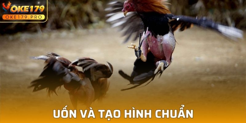 Biết cách tạo hình hợp lý