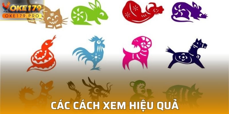 Các cách xem hiệu quả