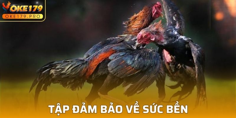 Đảm bảo về sức bền hợp lý