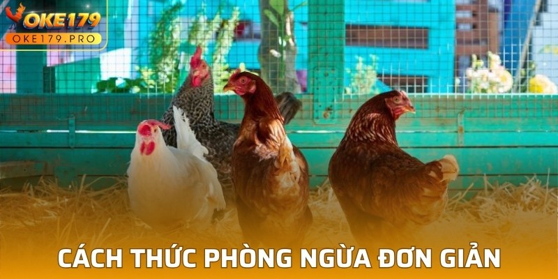 Cách thức phòng ngừa đơn giản