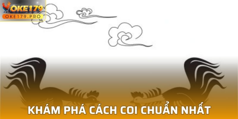 Cách Xem Ngày Đá Gà