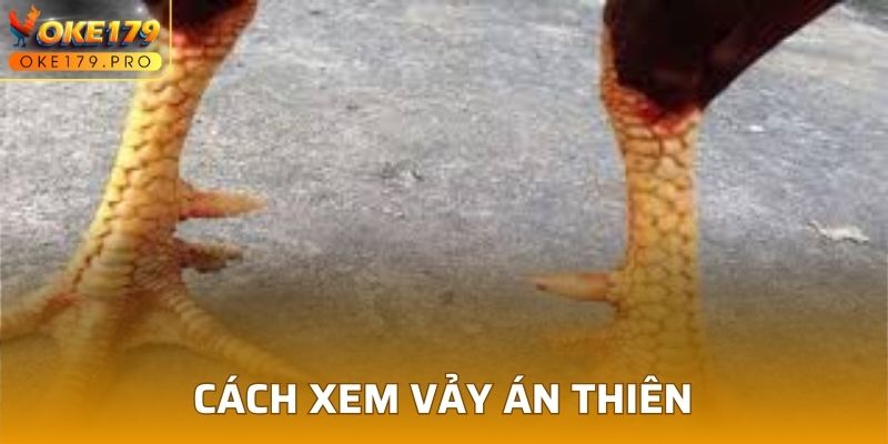 Cách xem Vảy Án Thiên