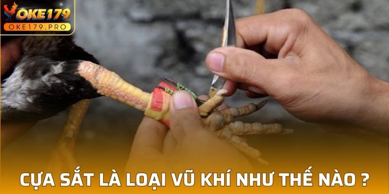 Cựa sắt là loại vũ khí như thế nào ?