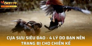 Cựa Sưu Siêu Đao