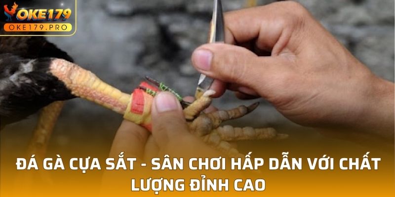 Đá Gà Cựa Sắt