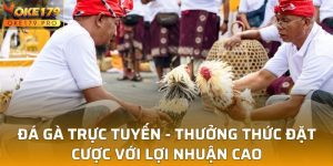 Đá Gà Trực Tuyến