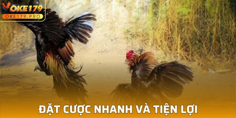 Đặt cược nhanh và tiện lợi