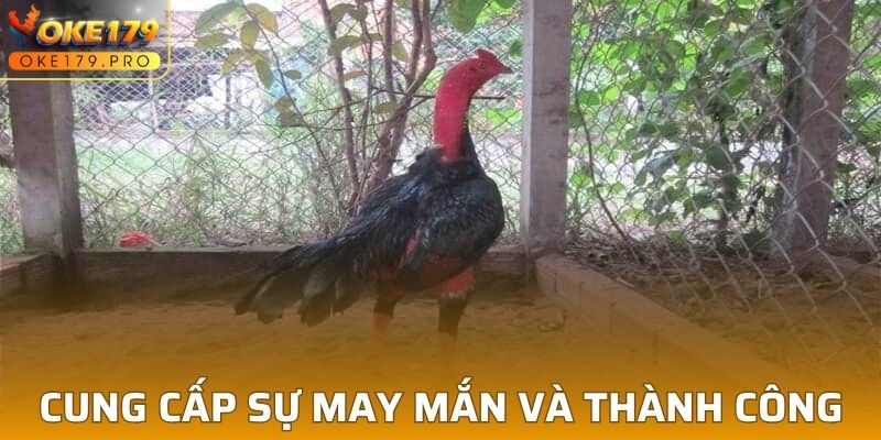 Là một biểu tượng thể hiện may mắn