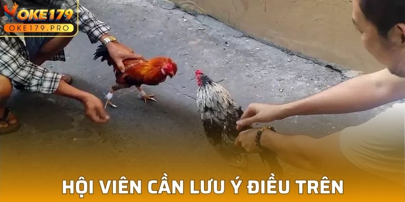 Hội viên cần lưu ý điều trên