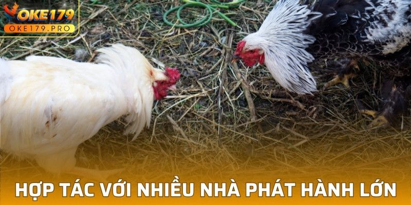 Hợp tác cùng nhiều nhà phát hành tiềm năng