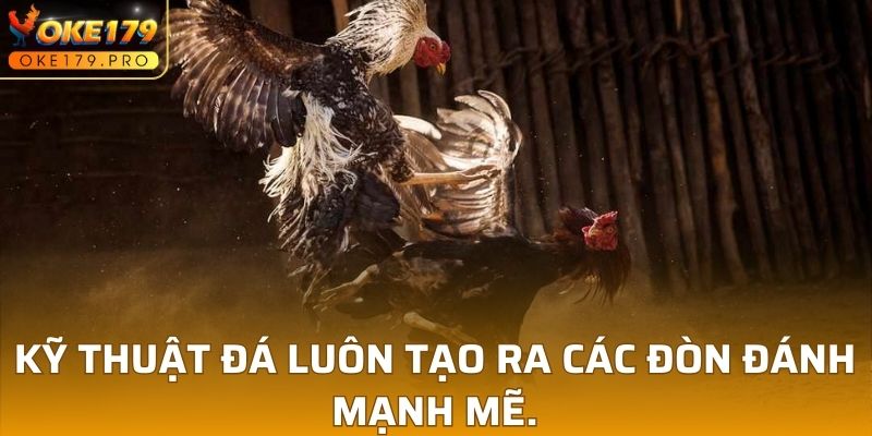 Kỹ thuật đá luôn tạo ra các đòn đánh mạnh mẽ.