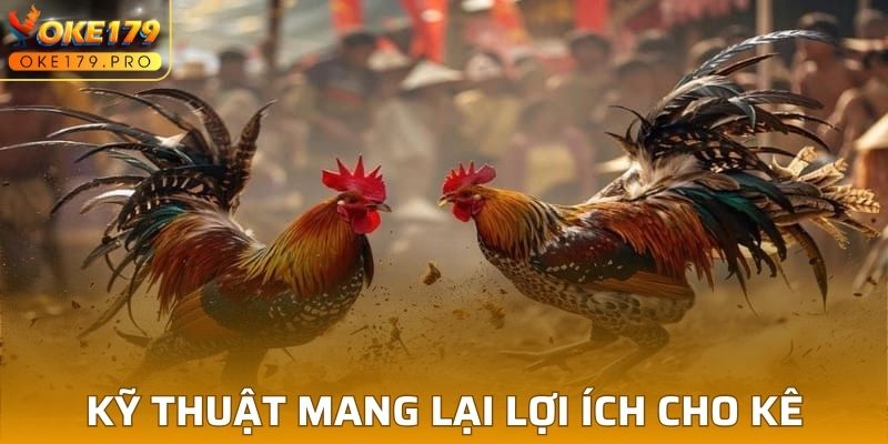 Kỹ thuật mang lại lợi ích cho kê