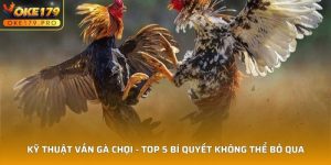 Kỹ Thuật Vần Gà Chọi