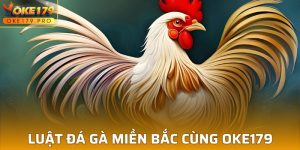 Luật Đá Gà Miền Bắc