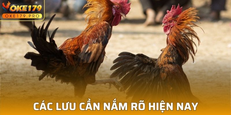 Lưu ý để đảm bảo sự an toàn