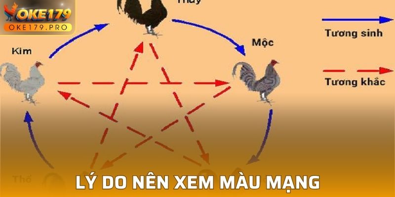 Lý do nên xem màu mạng