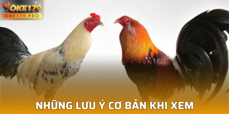 Những lưu ý cơ bản khi xem