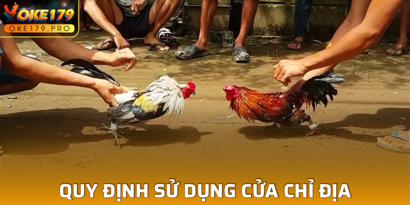 Quy định sử dụng cựa chỉ địa trong trận đấu