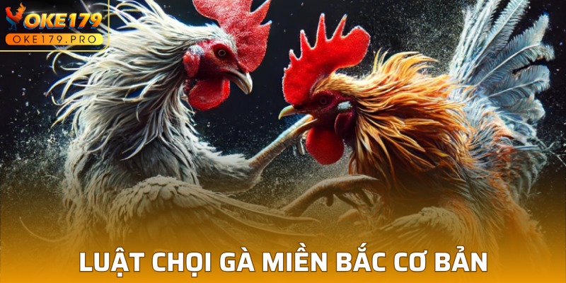 Quy định tham gia luật đá gà miền Bắc cơ bản 