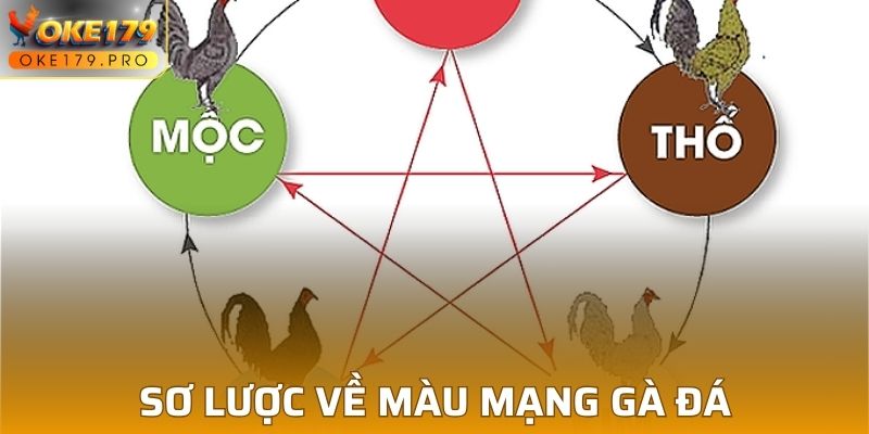 Sơ lược về màu mạng gà đá