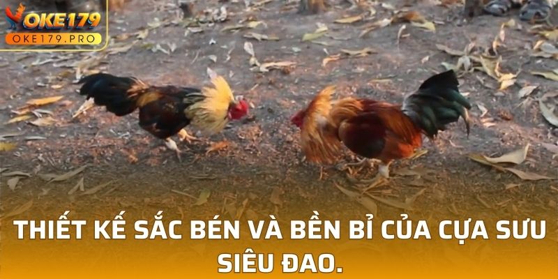 Thiết kế sắc bén và bền bỉ của Cựa Sưu Siêu Đao.