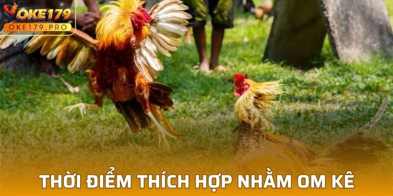 Thời điểm thích hợp nhằm om kê hiệu quả