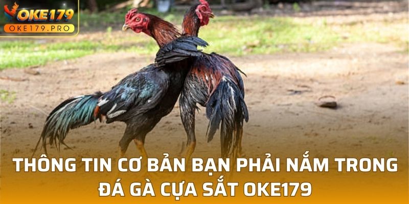 Thông tin cơ bản bạn phải nắm trong đá gà cựa sắt OKE179