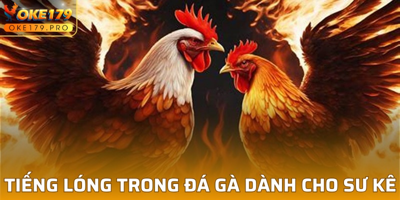 Tiếng lóng dành cho gà cá sấu