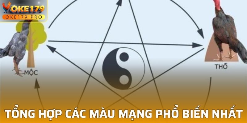 Tổng hợp các màu mạng phổ biến nhất