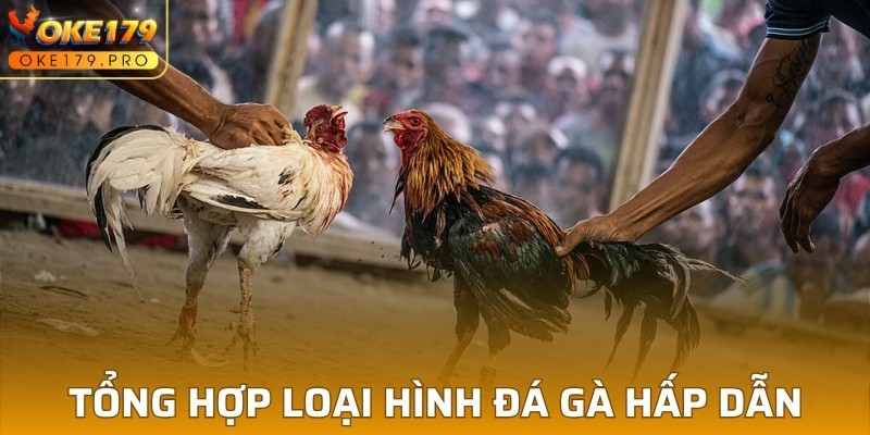 Tổng hợp loại hình Đá gà trực tuyến hấp dẫn