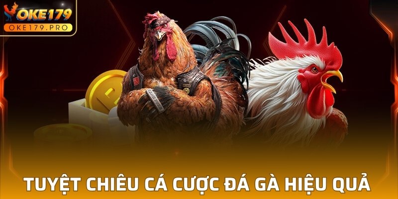 Tuyệt chiêu cá cược đá gà cựa dao hiệu quả 