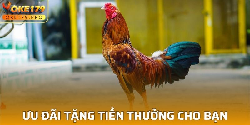 Ưu đãi tặng tiền thưởng cho bạn