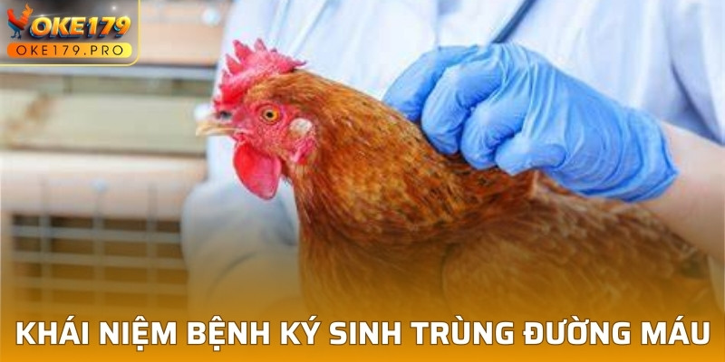 Vài nét mới về bệnh ký sinh trùng đường máu