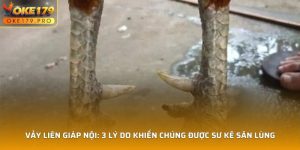 Vảy Liên Giáp Nội